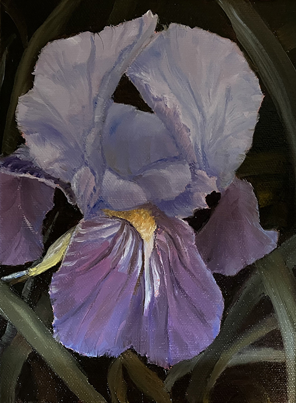 Study in Lavender