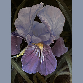 Study in Lavender